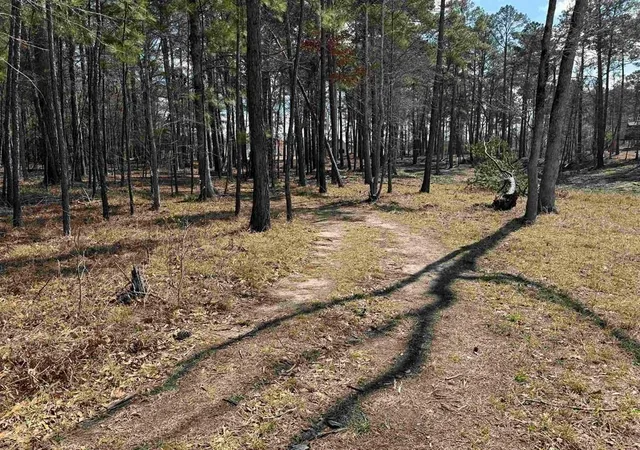 5th image of 006 Private Road 6028 Tract 1-6, Brookeland, TX 75931 | MLS# 15492847