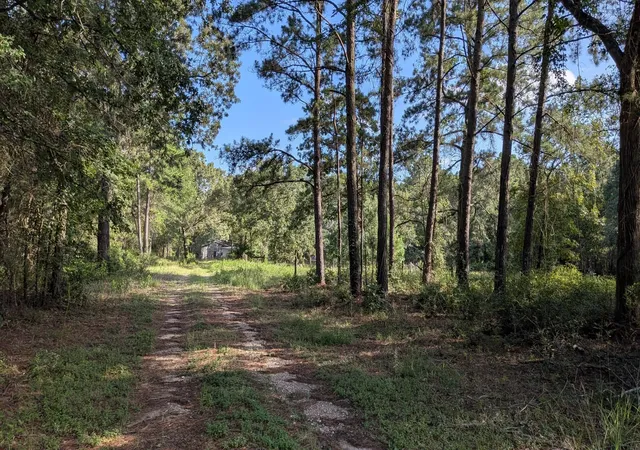 Homes for sale in Navasota, TX | 3948 Dogwood Trl, Navasota, TX 77868 | MLS# 41668564