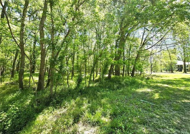 Photo 3 of Land for sale at Tbd County Rd 2167c, Cleveland, TX 77327 | MLS# 91260145 | Listing updated on 2026-10-01