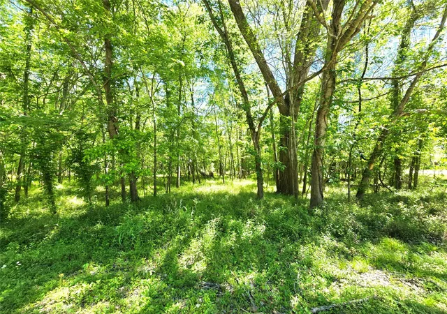 Photo 3 of Land for sale at Tbd County Rd 2167c, Cleveland, TX 77327 | MLS# 91260145 | Listing updated on 2026-10-01