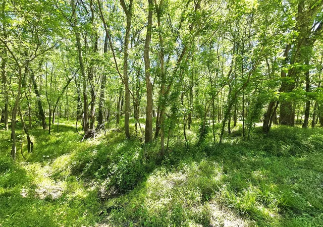 Photo 4 of Land for sale at Tbd County Rd 2167c, Cleveland, TX 77327 | MLS# 91260145 | Listing updated on 2026-10-01