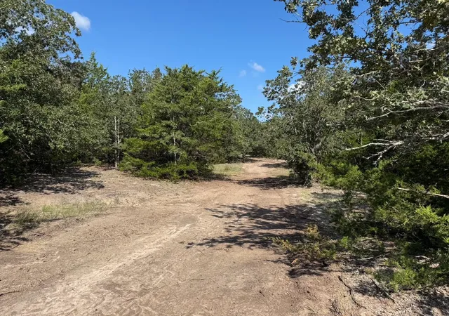 5th image of 13115 Schoenemann Rd, Carmine, TX 78932 | MLS# 96447021