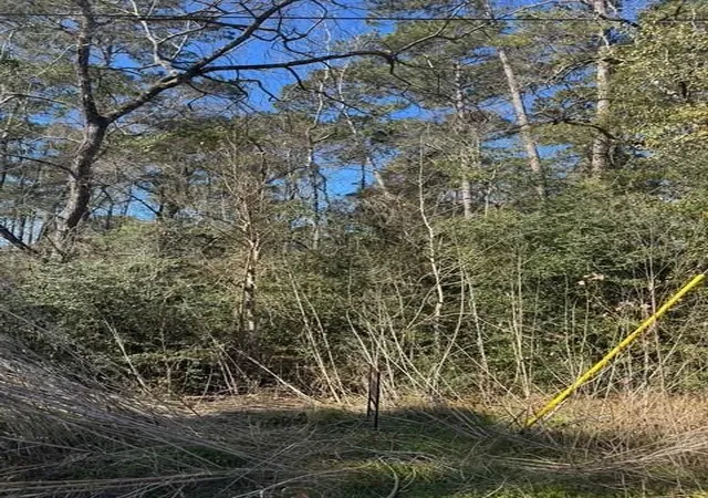 Photo 2 of Land for sale at 0 Sycamore Dr, Montgomery, TX 77356 | MLS# 75858480 | Listing updated on 2026-07-21