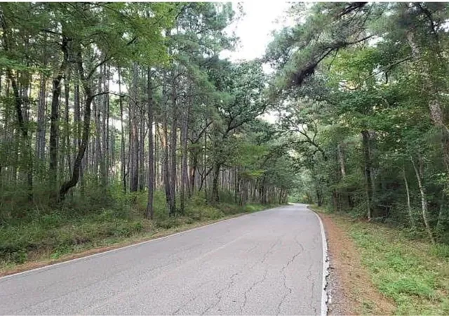 Photo 4 of Land for sale at 0 Sycamore Dr, Montgomery, TX 77356 | MLS# 75858480 | Listing updated on 2026-07-21