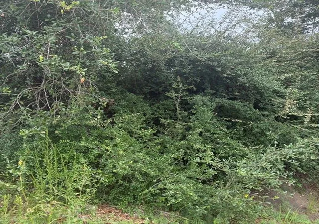 4th image of 0 Hwy 35 Off, Alvin, TX 77511 | MLS# 30849346