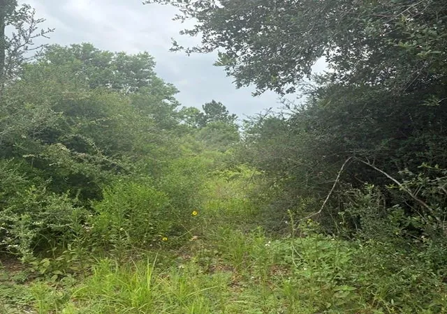 5th image of 0 Hwy 35 Off, Alvin, TX 77511 | MLS# 30849346