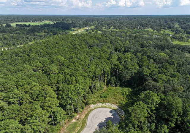 1st image of 14/15a Prosperity Ct, New Waverly, TX 77358 | MLS# 84877182