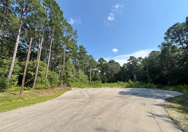 Photo 3 of Land for sale at 14/15a Prosperity Ct, New Waverly, TX 77358 | MLS# 84877182 | Listing updated on 2025-09-21
