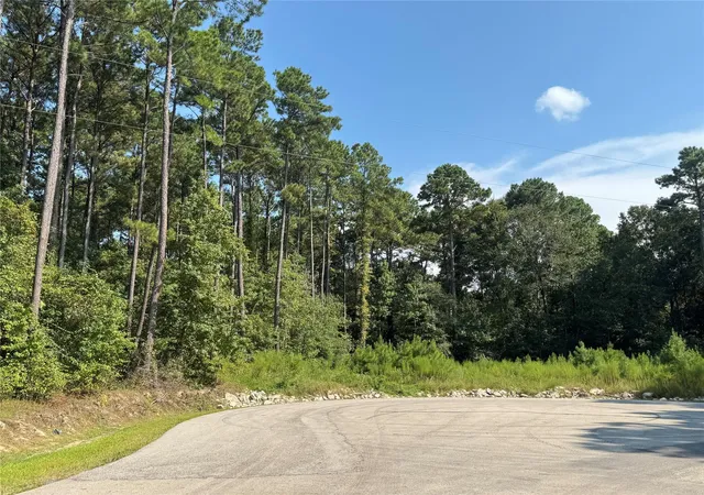 Photo 3 of Land for sale at 14/15A Prosperity Ct, New Waverly, TX 77358 | MLS# 84877182 | Listing updated on 2025-09-21