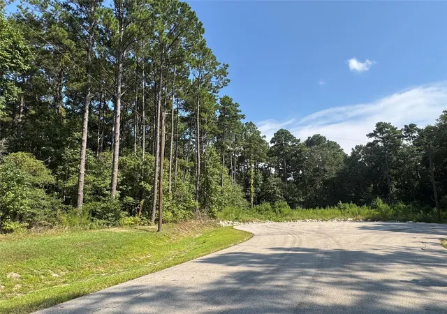 Photo 4 of Land for sale at 14/15A Prosperity Ct, New Waverly, TX 77358 | MLS# 84877182 | Listing updated on 2025-09-21