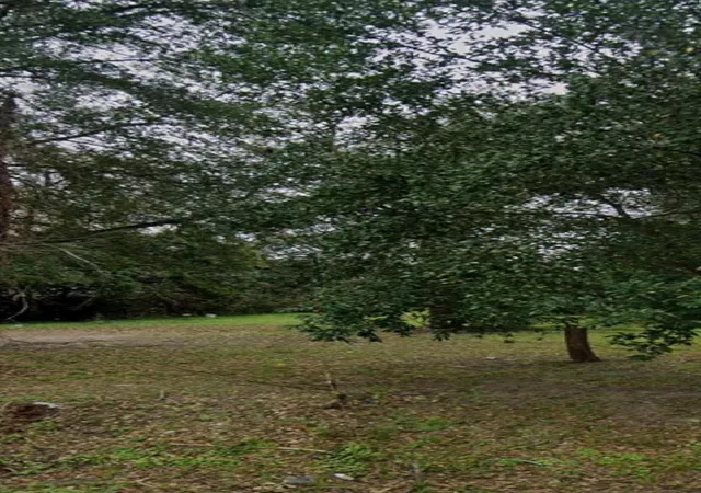 Photo 1 of Land for sale at 0 Ringold, Houston, TX 77088 | MLS# 50585370 | Listing updated on 2026-05-01