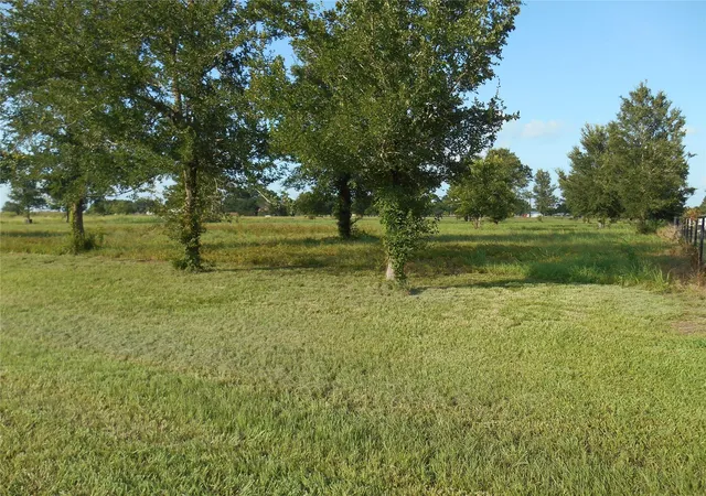Homes for sale in Sealy, TX | 0 Meadow Wood Ln, Sealy, TX 77474 | MLS# 25190504