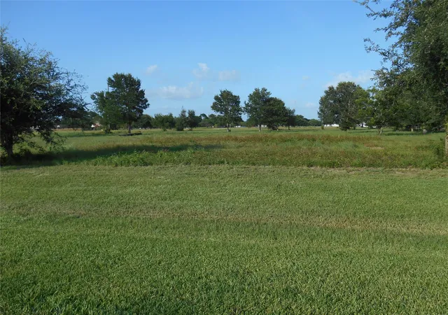 Homes for sale in Sealy, TX | 0 Meadow Wood Ln, Sealy, TX 77474 | MLS# 25190504