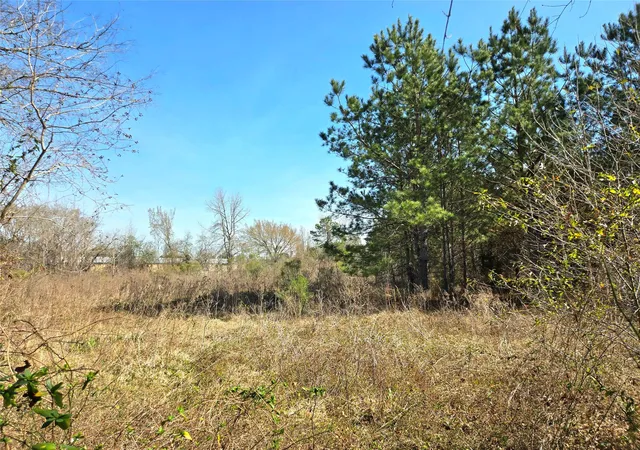 Photo 3 of Land for sale at 205 Tanner St, Cleveland, TX 77327 | MLS# 44338574 | Listing updated on 2026-09-18