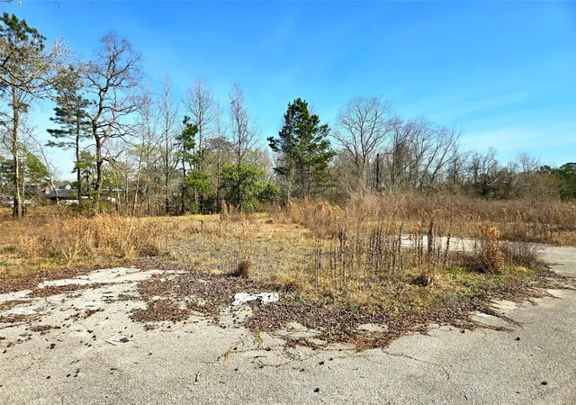 Photo 7 of Land for sale at 205 Tanner St, Cleveland, TX 77327 | MLS# 44338574 | Listing updated on 2026-09-01