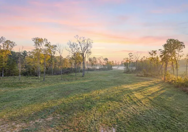 1st image of Lot 13 Fm 350 N, Livingston, TX 77351 | MLS# 87409370