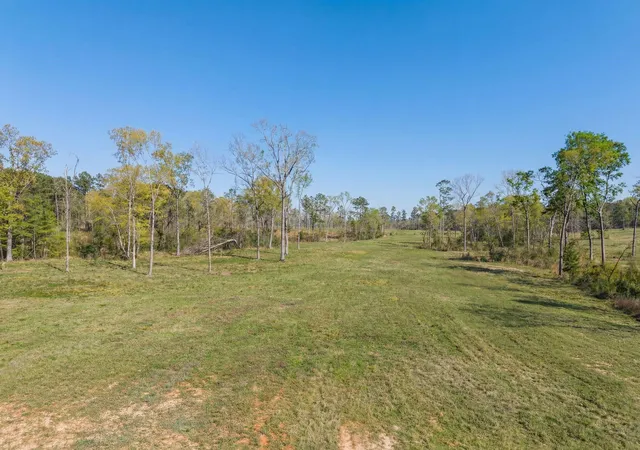 5th image of Lot 13 Fm 350 N, Livingston, TX 77351 | MLS# 87409370