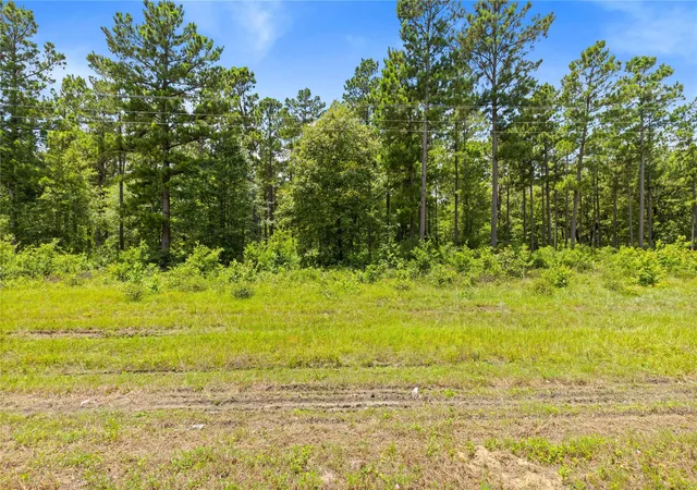 5th image of 00 Fm 230, Trinity, TX 75862 | MLS# 73422089