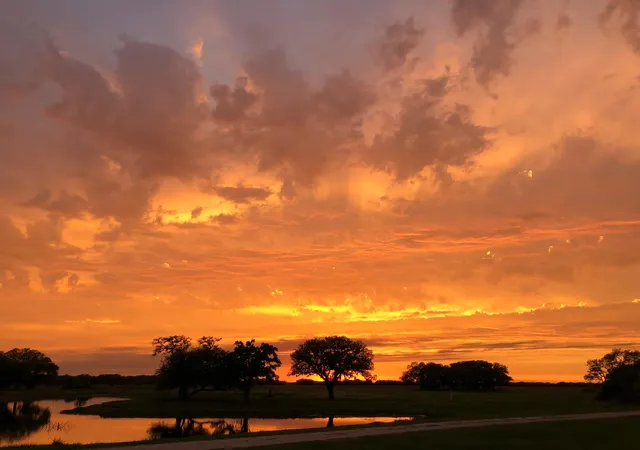 Homes for sale in Hallettsville, TX | 0 County Road 19, Hallettsville, TX 77964 | MLS# 71477805