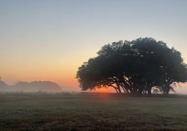 Homes for sale in Hallettsville, TX | 0 County Road 19, Hallettsville, TX 77964 | MLS# 71477805