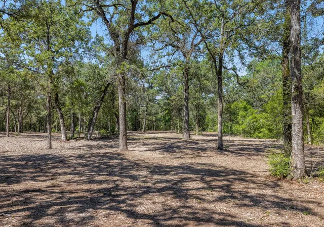 Photo 3 of Land for sale at 2465 County Rd 58, Caldwell, TX 77836 | MLS# 71506238 | Listing updated on 2026-06-11