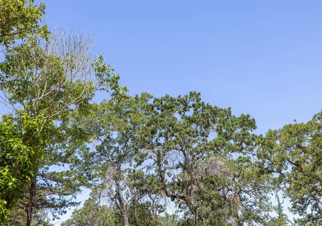 Photo 3 of Land for sale at 2465 County Rd 58, Caldwell, TX 77836 | MLS# 71506238 | Listing updated on 2026-06-11