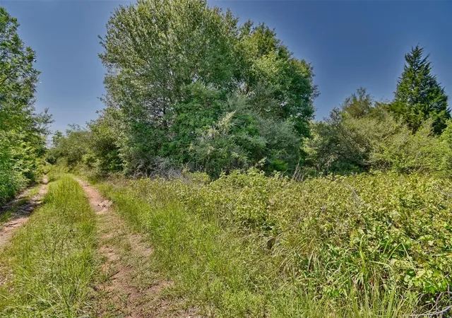 Photo 4 of Sale Pending at 1721 Columbus Rd, Sealy, TX 77474 | MLS# 56930188 | Listing updated on 2026-07-13