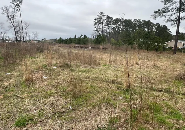 Photo 3 of Land for sale at 1709 County Road 3479a, Cleveland, TX 77327 | MLS# 48844937 | Listing updated on 2026-10-06
