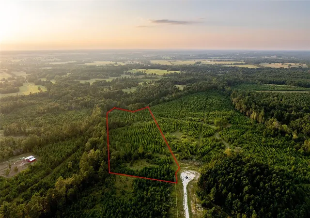 Homes for sale in Lovelady, TX | 1999 Cherokee Trail, Lovelady, TX 75851 | MLS# 44195751