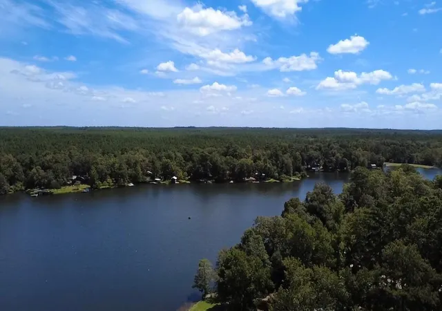 38th image of 745 County Road 3170, Colmesneil, TX 75938 | MLS# 34903005