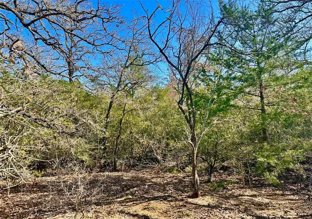 Photo 1 of Land for sale at 0 Wood Hvn Dr, Waelder, TX 78959 | MLS# 38962383 | Listing updated on 2026-08-19