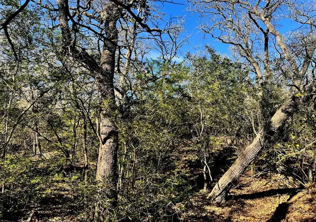 Photo 3 of Land for sale at 0 Wood Hvn Dr, Waelder, TX 78959 | MLS# 38962383 | Listing updated on 2026-08-19