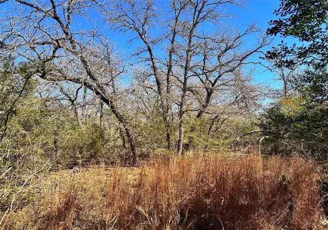 Photo 3 of Land for sale at 0 Wood Hvn Dr, Waelder, TX 78959 | MLS# 38962383 | Listing updated on 2026-08-19
