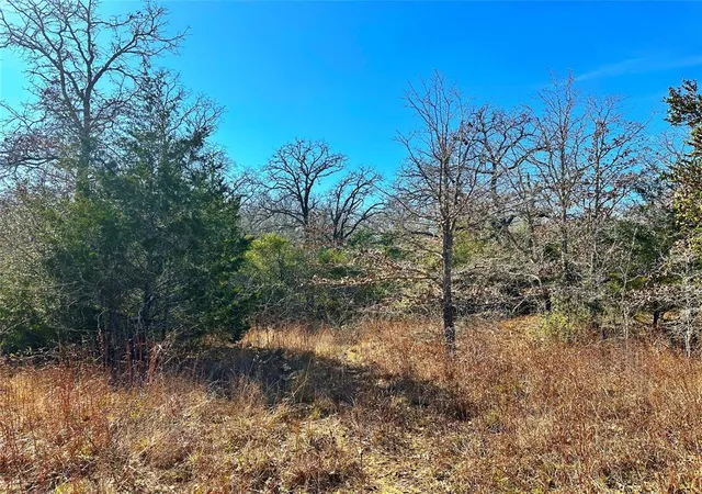 Photo 4 of Land for sale at 0 Wood Hvn Dr, Waelder, TX 78959 | MLS# 38962383 | Listing updated on 2026-08-19