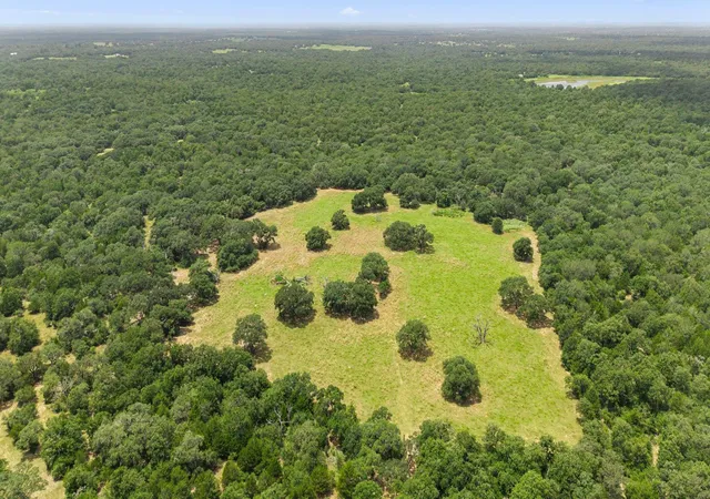 Photo 1 of Land for sale at Tbd Cr 117/ Getty Texaco Rd, Hallettsville, TX 77964 | MLS# 4059080 | Listing updated on 2026-09-15