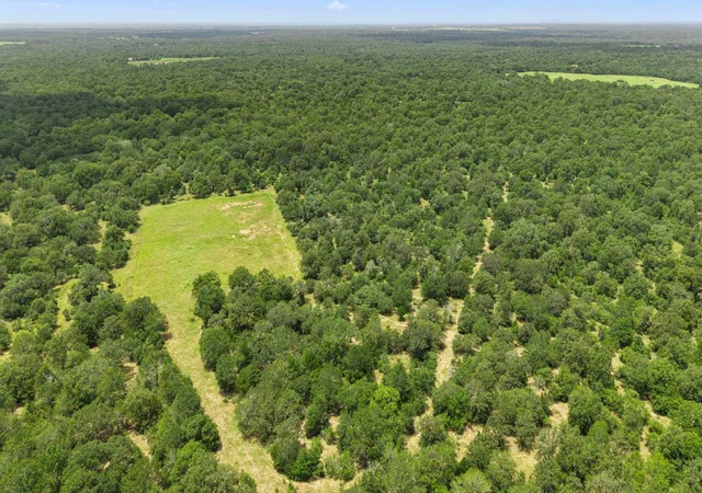 Photo 2 of Land for sale at Tbd Cr 117/ Getty Texaco Rd, Hallettsville, TX 77964 | MLS# 4059080 | Listing updated on 2026-09-15