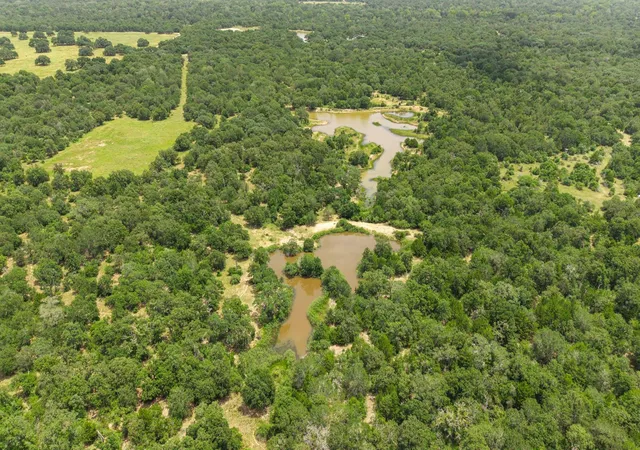 Photo 3 of Land for sale at Tbd Cr 117/ Getty Texaco Rd, Hallettsville, TX 77964 | MLS# 4059080 | Listing updated on 2026-09-15