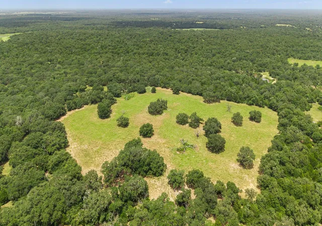 Photo 4 of Land for sale at Tbd Cr 117/ Getty Texaco Rd, Hallettsville, TX 77964 | MLS# 4059080 | Listing updated on 2026-09-15