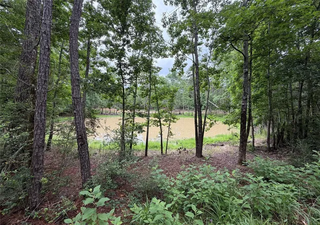 Photo 3 of Land for sale at 0 Hl Rd Lot 5, Willis, TX 77378 | MLS# 79984137 | Listing updated on 2026-08-03