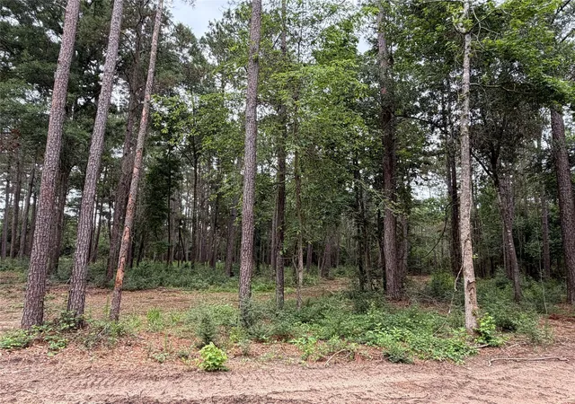 Photo 4 of Land for sale at 0 Hl Rd Lot 5, Willis, TX 77378 | MLS# 79984137 | Listing updated on 2026-08-03