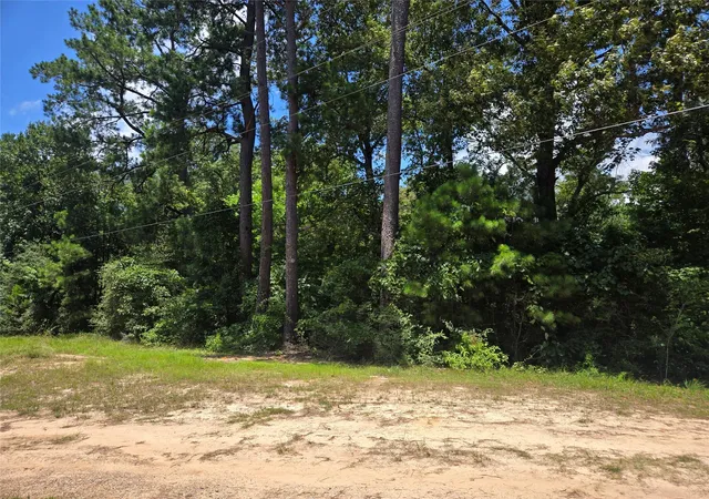 Homes for sale in Burkeville, TX | 1909 Fm 692, Burkeville, TX 75932 | MLS# 15051157