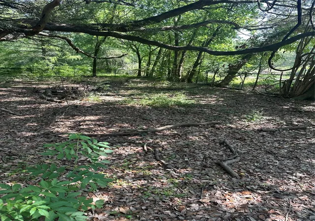 2nd image of 0 Carr, Houston, TX 77026 | MLS# 51502831
