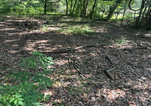 4th image of 0 Carr, Houston, TX 77026 | MLS# 51502831