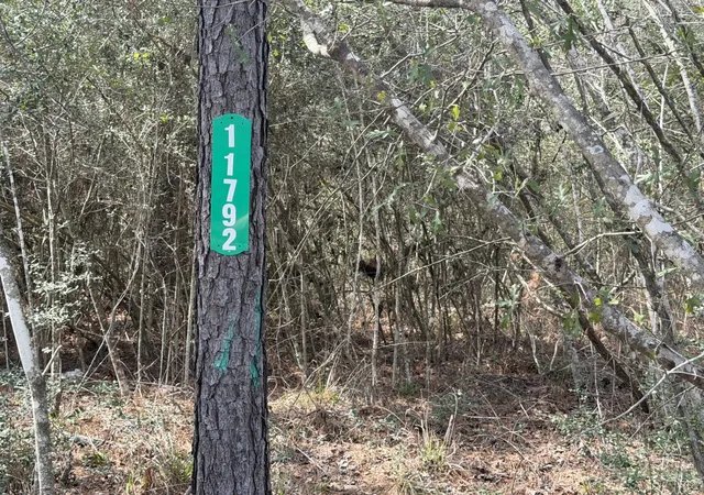 Photo 3 of Land for sale at 11792 Inspiration Dr, Willis, TX 77378 | MLS# 73250593 | Listing updated on 2026-03-06