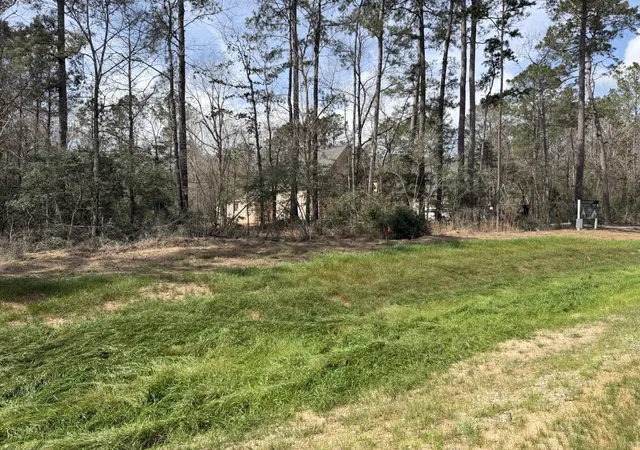 Photo 3 of Land for sale at 11792 Inspiration Dr, Willis, TX 77378 | MLS# 73250593 | Listing updated on 2026-03-06