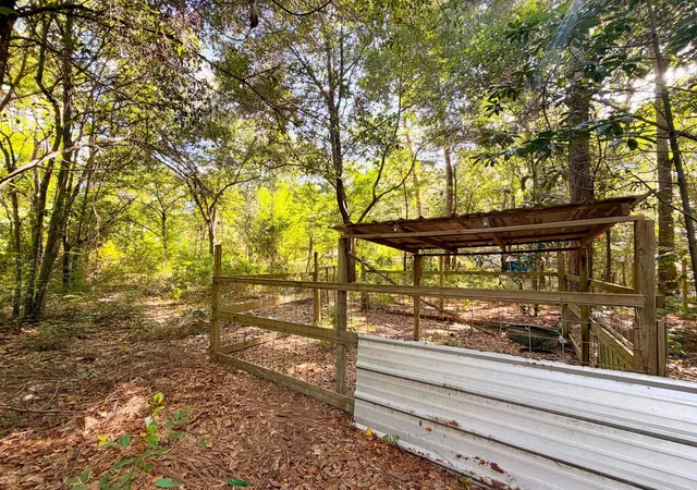 1st image of 19124 Leicester, New Caney, TX 77357 | MLS# 66355032