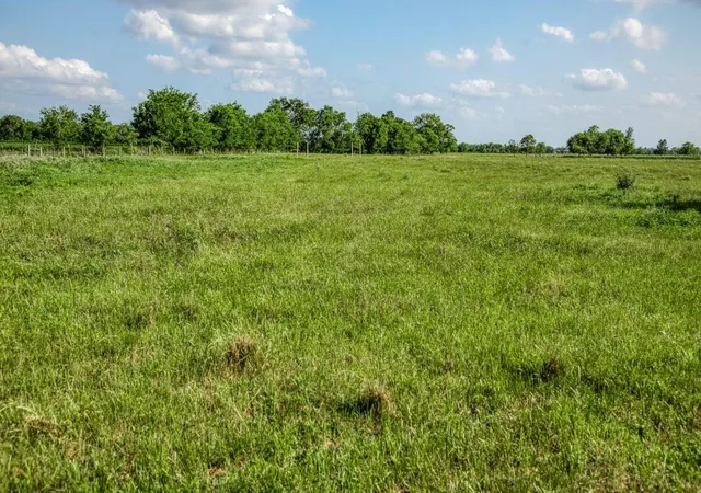 3rd image of 1923 Beasley West End, Beasley, TX 77417 | MLS# 11662051