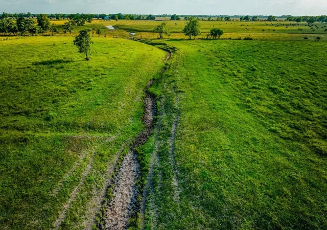 4th image of 1923 Beasley West End, Beasley, TX 77417 | MLS# 11662051