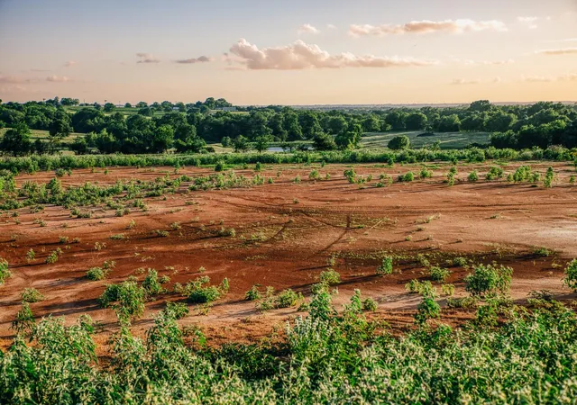 Photo 2 of Land for sale at Tract 3 Pleasant Hl School Rd, Brenham, TX 77833 | MLS# 52434405 | Listing updated on 2026-06-13