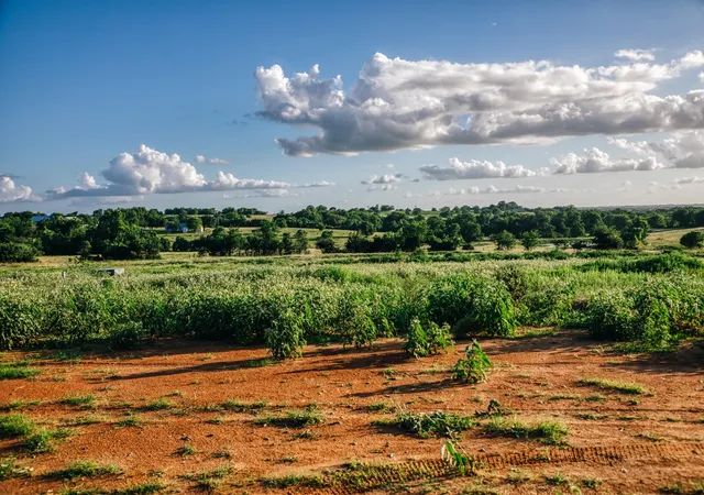 Photo 3 of Land for sale at Tract 3 Pleasant Hl School Rd, Brenham, TX 77833 | MLS# 52434405 | Listing updated on 2026-06-13